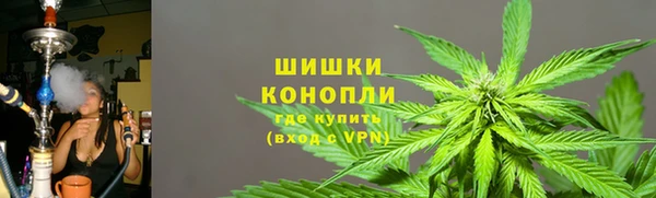 PSILOCYBIN Армянск
