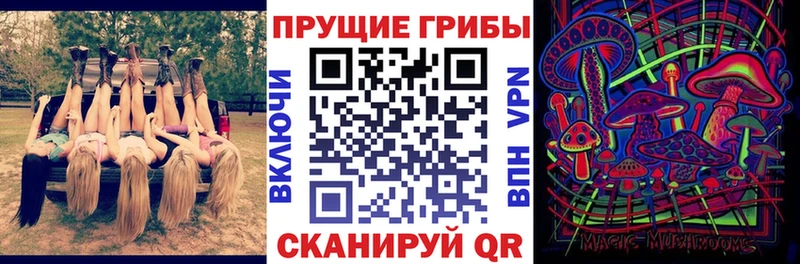 Галлюциногенные грибы Psilocybe  как найти закладки  Прохладный 